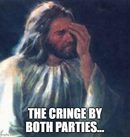 jesus facepalm | THE CRINGE BY BOTH PARTIES... | image tagged in jesus facepalm | made w/ Imgflip meme maker