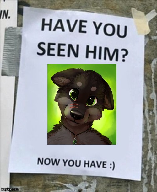 HAVE YOU SEEN HIM