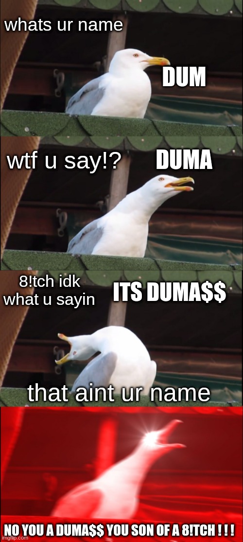 That aint your name | whats ur name; DUM; DUMA; wtf u say!? ITS DUMA$$; 8!tch idk what u sayin; that aint ur name; NO YOU A DUMA$$ YOU SON OF A 8!TCH ! ! ! | image tagged in memes,inhaling seagull | made w/ Imgflip meme maker