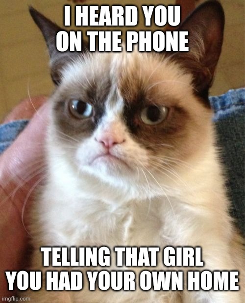 Grumpy Cat Meme | I HEARD YOU ON THE PHONE; TELLING THAT GIRL YOU HAD YOUR OWN HOME | image tagged in memes,grumpy cat | made w/ Imgflip meme maker