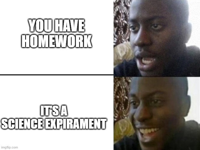 I think science expiraments are more fun than paper homework. | YOU HAVE HOMEWORK; IT'S A SCIENCE EXPIRAMENT | image tagged in reversed disappointed black man,homework,science | made w/ Imgflip meme maker