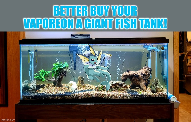 Vaporeon's home | BETTER BUY YOUR VAPOREON A GIANT FISH TANK! | image tagged in vaporeon,pokemon,fish,tank | made w/ Imgflip meme maker