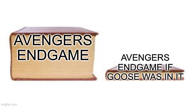 We need 200% more Goose | AVENGERS ENDGAME; AVENGERS ENDGAME IF GOOSE WAS IN IT | image tagged in big book small book,avengers endgame,marvel,goose,cat | made w/ Imgflip meme maker
