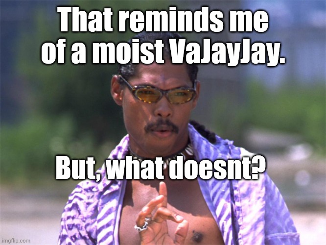 Pootie Tang say: | That reminds me of a moist VaJayJay. But, what doesnt? | image tagged in pootie tang say | made w/ Imgflip meme maker