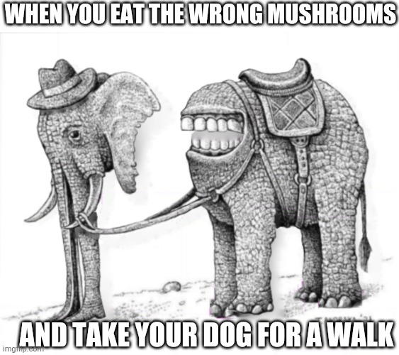 Dalking the wog | WHEN YOU EAT THE WRONG MUSHROOMS; AND TAKE YOUR DOG FOR A WALK | image tagged in mushroom,trip,dog,walking,elephant,wtf | made w/ Imgflip meme maker