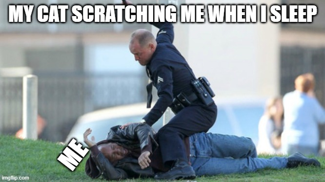 Cop Beating | MY CAT SCRATCHING ME WHEN I SLEEP; ME | image tagged in cop beating | made w/ Imgflip meme maker