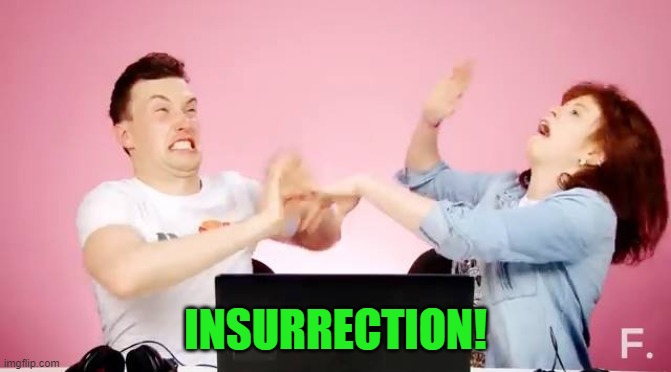 Slap fight | INSURRECTION! | image tagged in slap fight | made w/ Imgflip meme maker