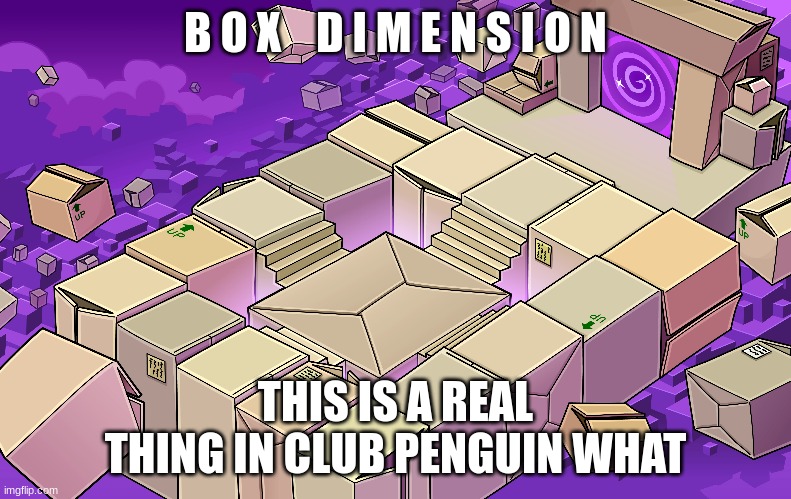 B O X    D I M E N S I O N THIS IS A REAL THING IN CLUB PENGUIN WHAT | made w/ Imgflip meme maker