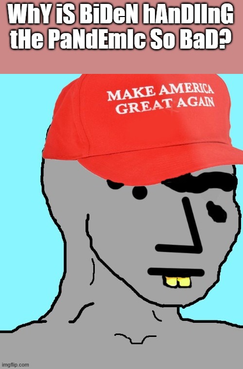 MAGA NPC | WhY iS BiDeN hAnDlInG tHe PaNdEmIc So BaD? | image tagged in maga npc | made w/ Imgflip meme maker