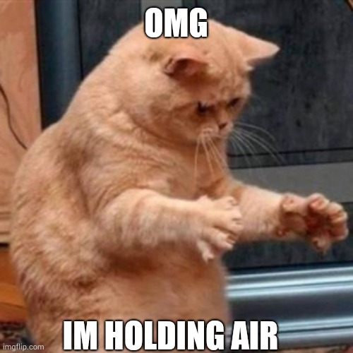 Dat ass cat | OMG; IM HOLDING AIR | image tagged in dat ass cat,cute | made w/ Imgflip meme maker
