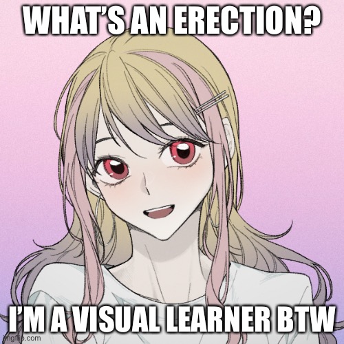 peachytroopa’s new picrew | WHAT’S AN ERECTION? I’M A VISUAL LEARNER BTW | image tagged in peachytroopa s new picrew | made w/ Imgflip meme maker