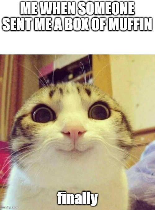 muffin | ME WHEN SOMEONE SENT ME A BOX OF MUFFIN; finally | image tagged in memes,smiling cat | made w/ Imgflip meme maker