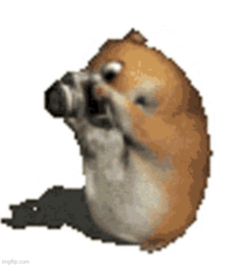What a funny image | image tagged in caught in 4k | made w/ Imgflip meme maker