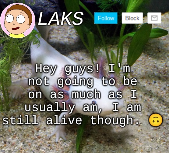 LAKS axolotl template | Hey guys! I'm not going to be on as much as I usually am, I am still alive though. 🙃 | image tagged in laks axolotl template | made w/ Imgflip meme maker