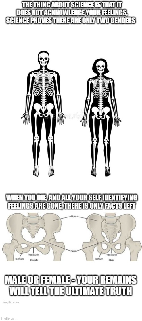 I'm just "following the science". | image tagged in blank white template | made w/ Imgflip meme maker