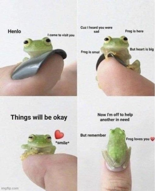 froggo | image tagged in froggo | made w/ Imgflip meme maker