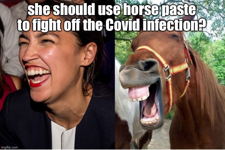 AOC horse face Alexandria Ocasio-Cortez | she should use horse paste to fight off the Covid infection? | image tagged in aoc horse face alexandria ocasio-cortez | made w/ Imgflip meme maker