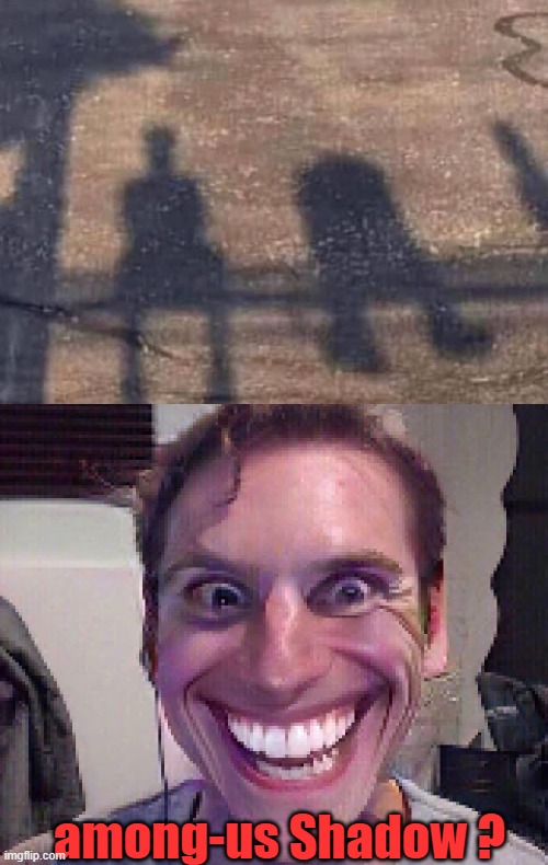 among-us Shadow ? | image tagged in when the imposter is sus | made w/ Imgflip meme maker