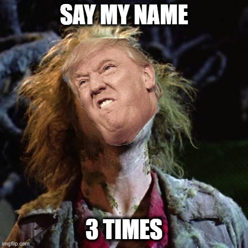 Stop feeding the king troll | SAY MY NAME; 3 TIMES | image tagged in memes,politics,troll,trump,donald trump is an idiot,stop | made w/ Imgflip meme maker