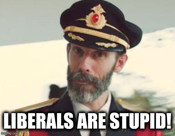 Captain Obvious | LIBERALS ARE STUPID! | image tagged in captain obvious | made w/ Imgflip meme maker