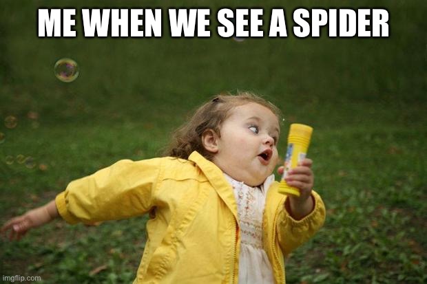 girl running | ME WHEN WE SEE A SPIDER | image tagged in girl running | made w/ Imgflip meme maker
