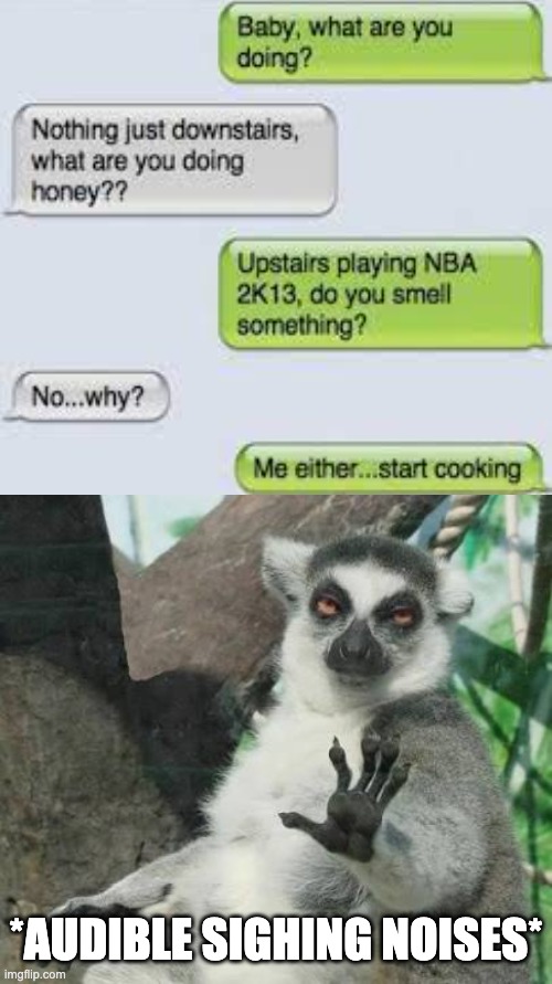 Sigh | *AUDIBLE SIGHING NOISES* | image tagged in no thanks lemur,memes,funny | made w/ Imgflip meme maker