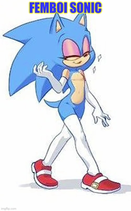 Sonic | FEMBOI SONIC | image tagged in femboy,sonic the hedgehog,tight,anime boi,hedgehog | made w/ Imgflip meme maker