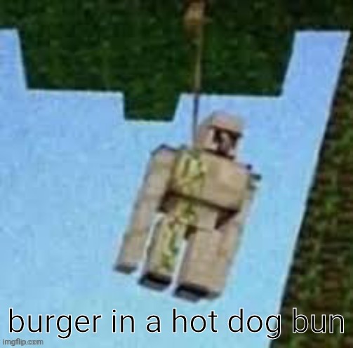 Image Title | burger in a hot dog bun | image tagged in iron golem | made w/ Imgflip meme maker