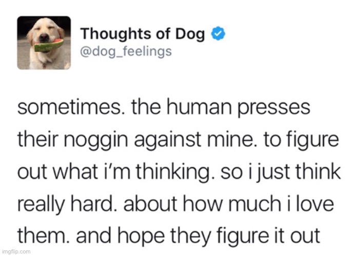 This is very wholesome so I had to post it to you guys | made w/ Imgflip meme maker