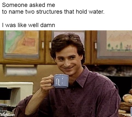 This is for You, Bob | Someone asked me 
to name two structures that hold water. 
 
I was like well damn | image tagged in dad joke,meme,memes,bob saget | made w/ Imgflip meme maker