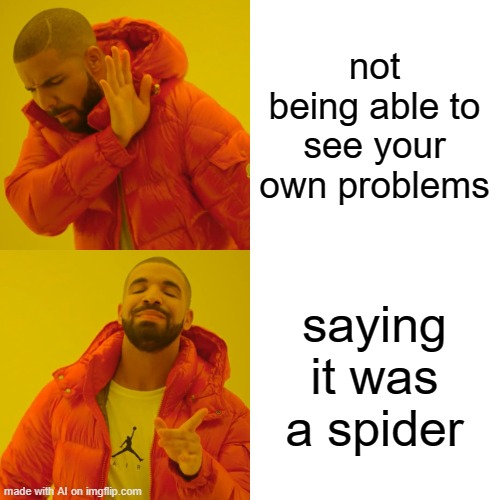 ah yes I always blame my problems on the spider | not being able to see your own problems; saying it was a spider | image tagged in memes,drake hotline bling | made w/ Imgflip meme maker