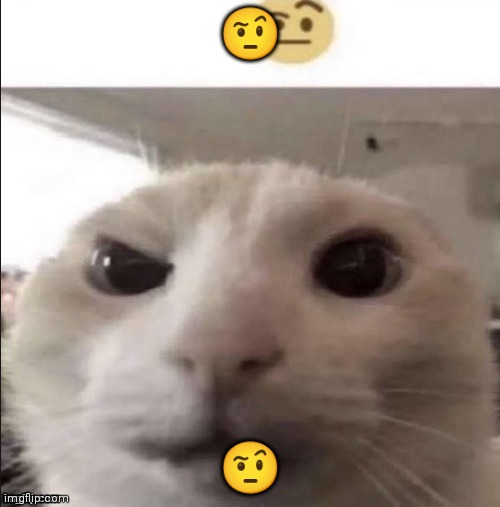 ? ? | made w/ Imgflip meme maker