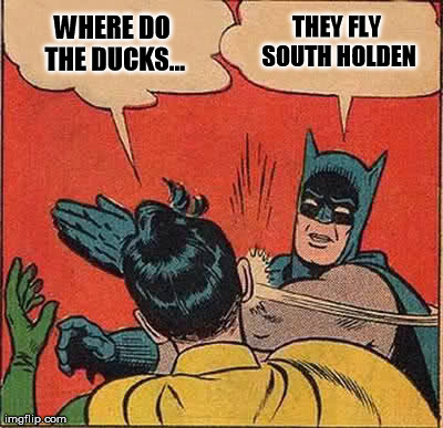 Batman Slapping Robin Meme | WHERE DO THE DUCKS... THEY FLY SOUTH HOLDEN | image tagged in memes,batman slapping robin | made w/ Imgflip meme maker