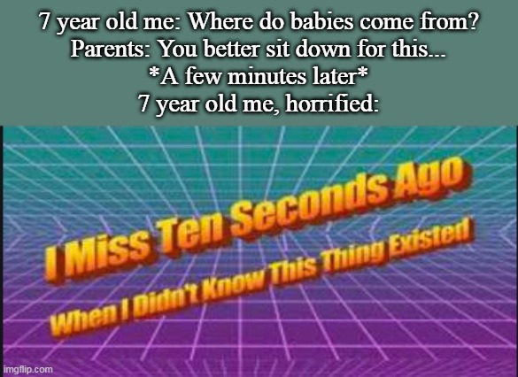 And then I went to tell my little brother who had the same question | 7 year old me: Where do babies come from?
Parents: You better sit down for this...
*A few minutes later*
7 year old me, horrified: | image tagged in i miss ten seconds ago when i didn't know this thing existed | made w/ Imgflip meme maker