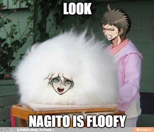 my google page be like" | LOOK; NAGITO IS FLOOFY | made w/ Imgflip meme maker
