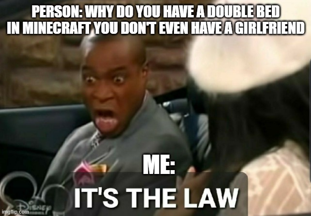 It's the law | PERSON: WHY DO YOU HAVE A DOUBLE BED IN MINECRAFT YOU DON'T EVEN HAVE A GIRLFRIEND; ME: | image tagged in it's the law | made w/ Imgflip meme maker