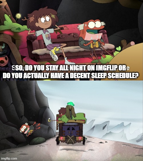 SO, DO YOU STAY ALL NIGHT ON IMGFLIP OR DO YOU ACTUALLY HAVE A DECENT SLEEP SCHEDULE? | made w/ Imgflip meme maker