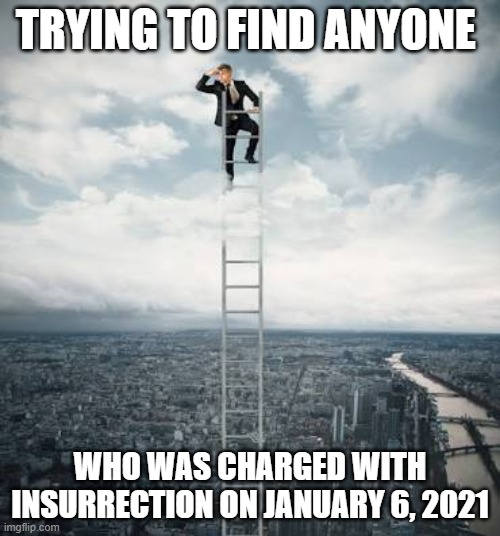 Searching for |  TRYING TO FIND ANYONE; WHO WAS CHARGED WITH INSURRECTION ON JANUARY 6, 2021 | image tagged in searching for | made w/ Imgflip meme maker