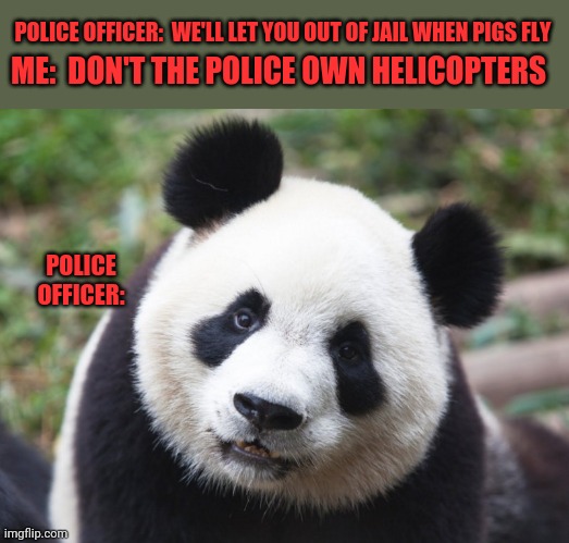 Whaut |  POLICE OFFICER:  WE'LL LET YOU OUT OF JAIL WHEN PIGS FLY; ME:  DON'T THE POLICE OWN HELICOPTERS; POLICE OFFICER: | image tagged in whutpanda,whaut,how,when,where,how come | made w/ Imgflip meme maker