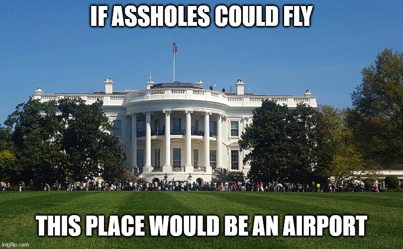 Politics | IF ASSHOLES COULD FLY; THIS PLACE WOULD BE AN AIRPORT | image tagged in funny memes | made w/ Imgflip meme maker