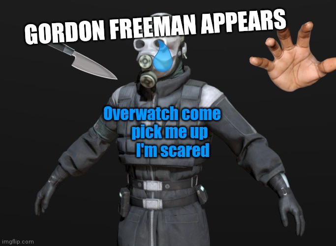 Overwatch come pick me up I'm scared | GORDON FREEMAN APPEARS | image tagged in overwatch come pick me up i'm scared | made w/ Imgflip meme maker
