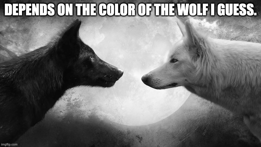 You have two wolves | DEPENDS ON THE COLOR OF THE WOLF I GUESS. | image tagged in you have two wolves | made w/ Imgflip meme maker