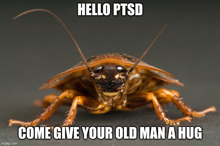 Cockroach | HELLO PTSD COME GIVE YOUR OLD MAN A HUG | image tagged in cockroach | made w/ Imgflip meme maker