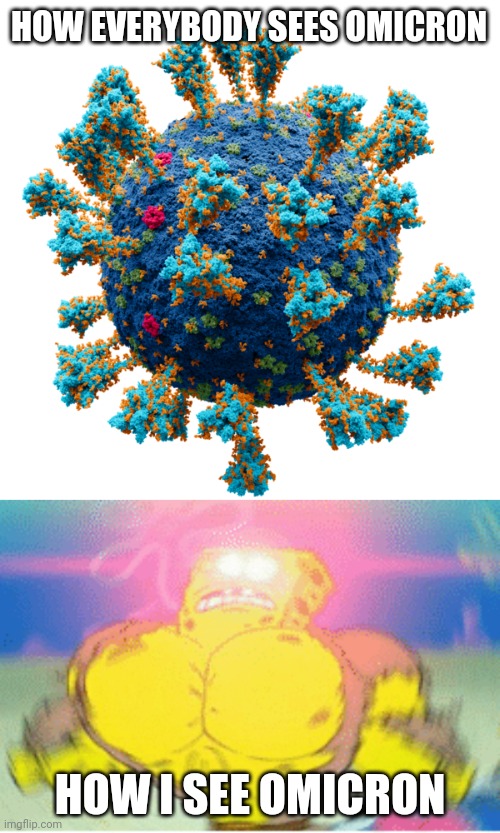 Omicron | HOW EVERYBODY SEES OMICRON; HOW I SEE OMICRON | image tagged in coronavirus,covid-19,omicron,oh no,we're all doomed,memes | made w/ Imgflip meme maker
