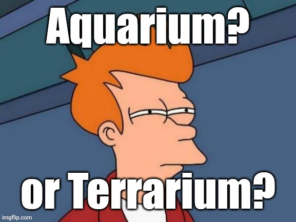 Fry is not sure... | Aquarium? or Terrarium? | image tagged in fry is not sure | made w/ Imgflip meme maker