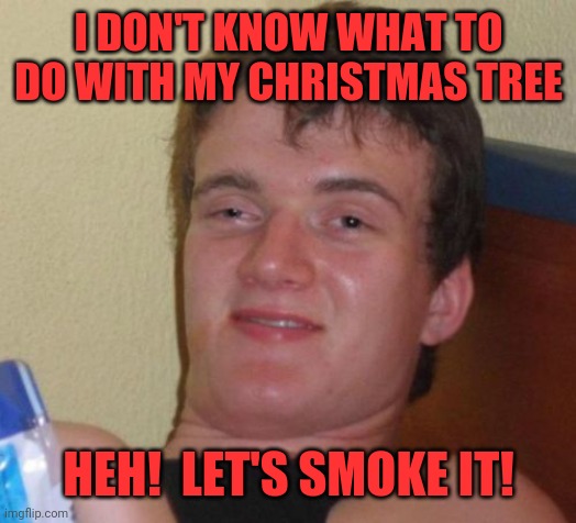 Christmas tree | I DON'T KNOW WHAT TO DO WITH MY CHRISTMAS TREE; HEH!  LET'S SMOKE IT! | image tagged in memes,10 guy,blunts for days,no thc,reverse psychology | made w/ Imgflip meme maker