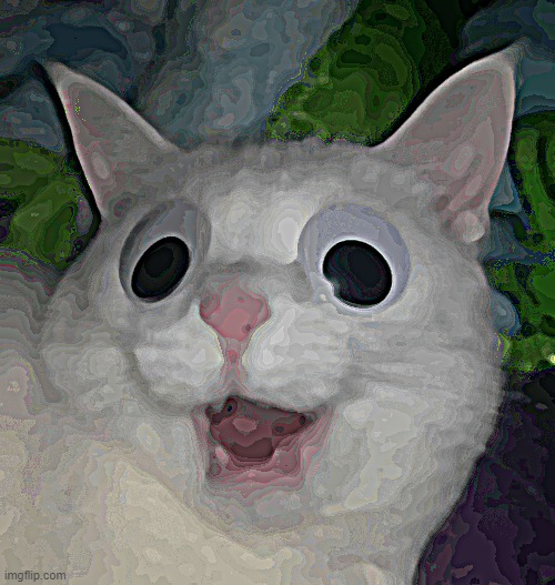 cat crazy | image tagged in cat,crazy cat,whoa,googly eyes,acid,edibles | made w/ Imgflip meme maker