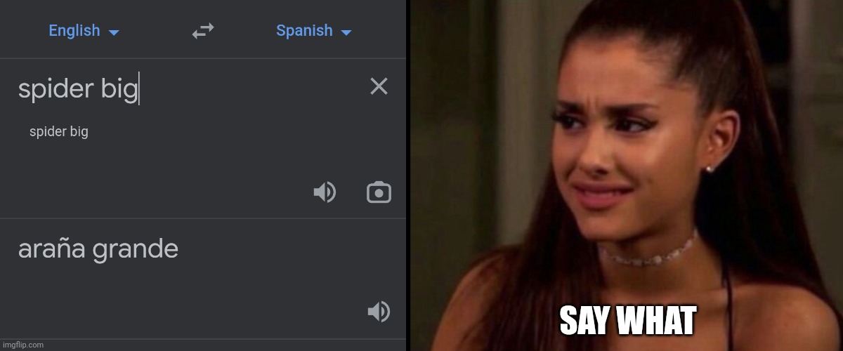 I found this on tiktok guys | SAY WHAT | image tagged in ariana grande,spider,joking | made w/ Imgflip meme maker