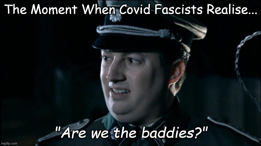 Covid Fascists | The Moment When Covid Fascists Realise... "Are we the baddies?" | image tagged in political memes,are we the baddies,covid-19,covid vaccine,fascists,leftists | made w/ Imgflip meme maker