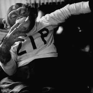 monke swag | made w/ Imgflip meme maker